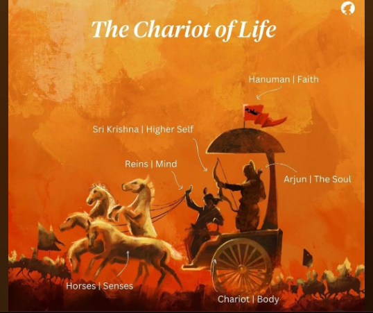 The Human Body: Not Just Bone and Flesh, but God’s Greatest Gift Screenshot 2025 08 15 213255